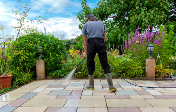 Best Pre-Holiday Cleaning  in Northwest Ithaca, NY